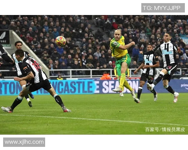 热刺与诺维奇精彩对决瞬间回顾图片集锦分享